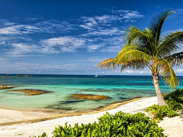 Isola di Grand Bahama